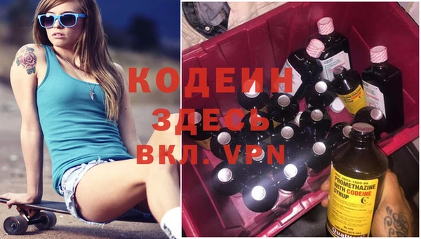 дурь Гусев
