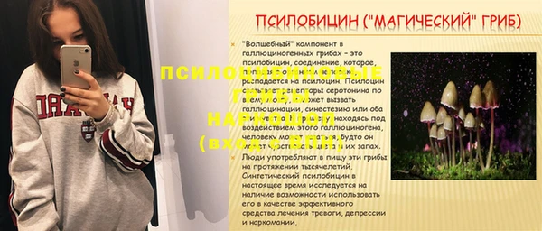 дурь Гусев