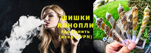 дурь Гусев