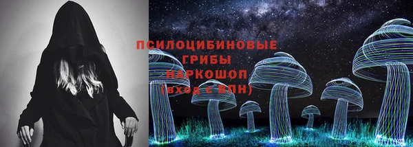 крисы Гусиноозёрск