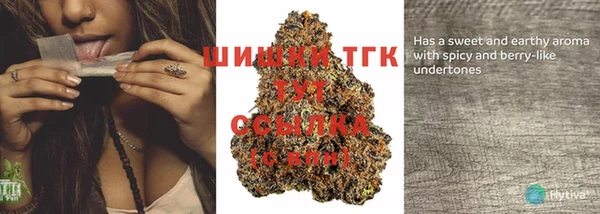 дурь Гусев