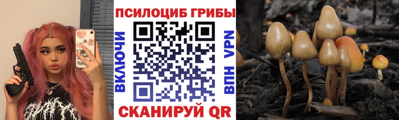 Купить  Ужур  Галлюциногенные грибы мухоморы 